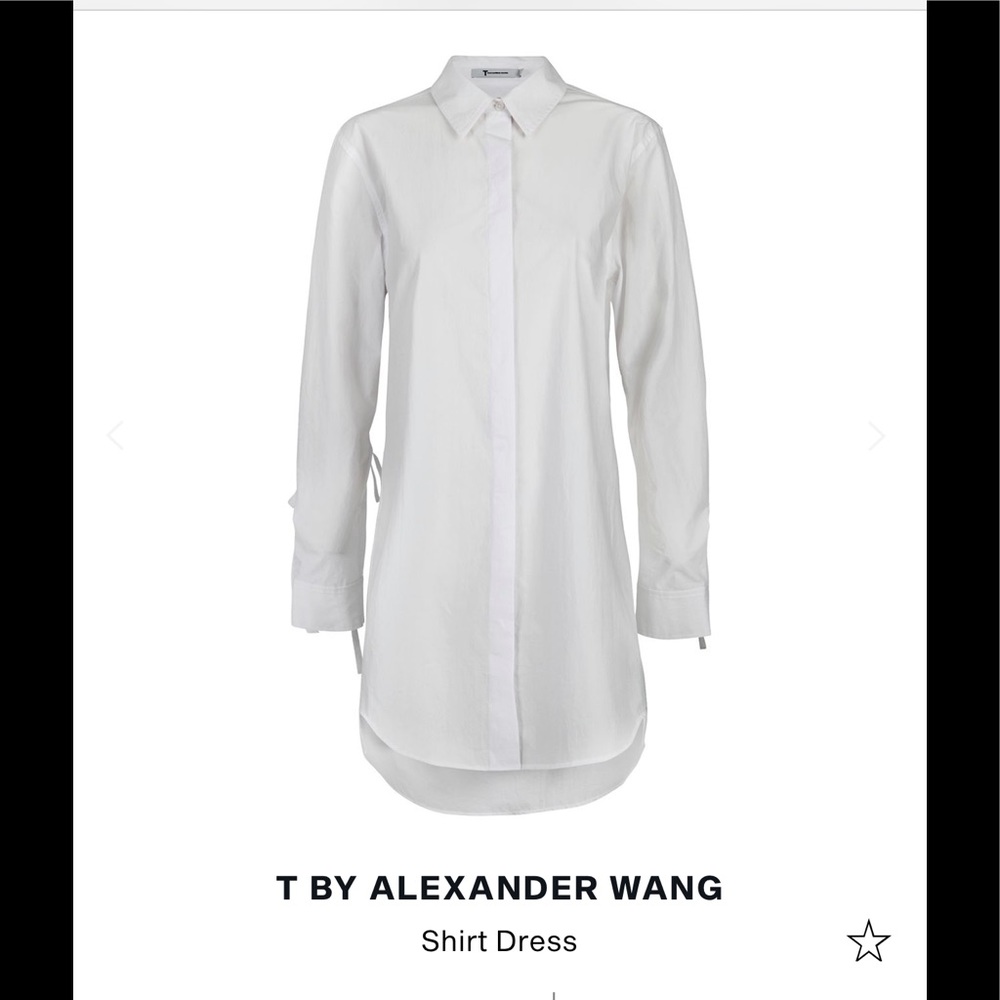T by Alexander Wang shirt dress